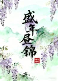 盛年锦时txt 颜月溪